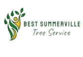 Tree Service Summerville