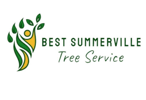 Tree Service Summerville