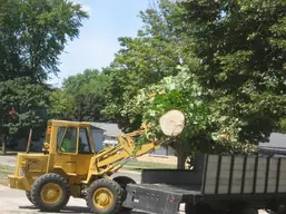 Land Clearing Tree Service Summerville